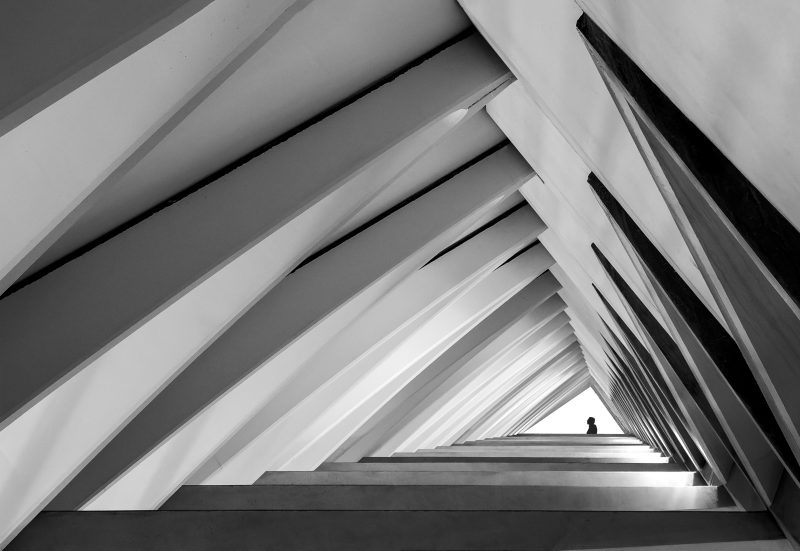 Triangle of sadness #2